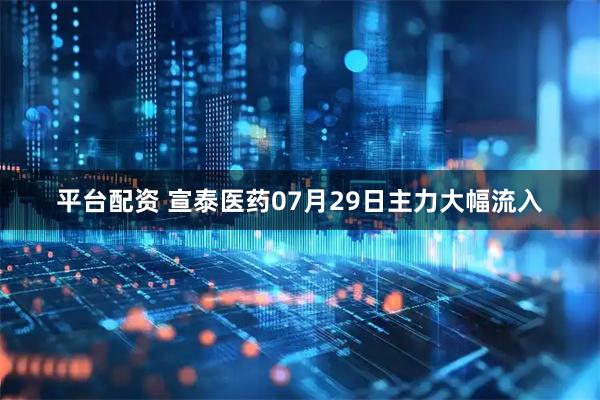平台配资 宣泰医药07月29日主力大幅流入
