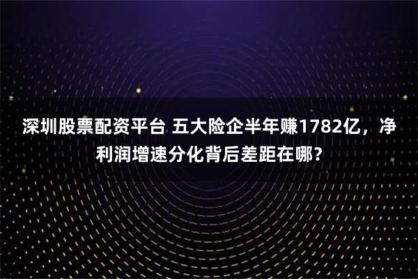 深圳股票配资平台 五大险企半年赚1782亿，净利润增速分化背后差距在哪？